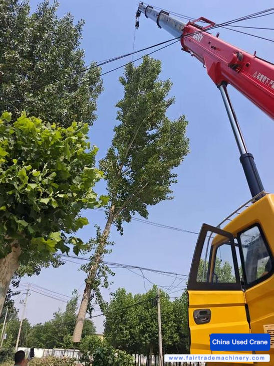 Buy Sany STC250C5-1 Used Crane / 1